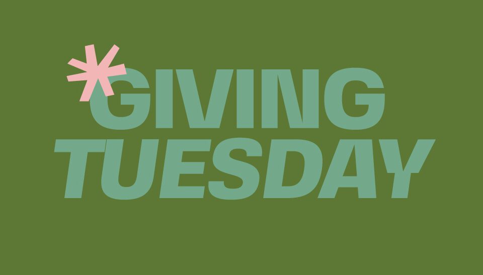 A proposal to invest in Giving Tuesday rather than spending on Black Friday Banner